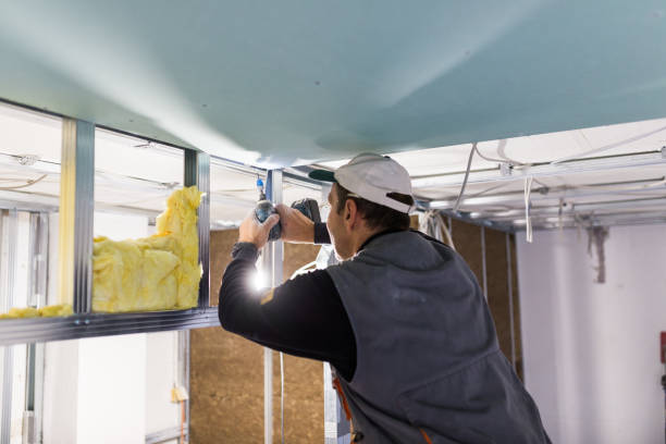 Best Specialized Insulation Services in Matteson, IL