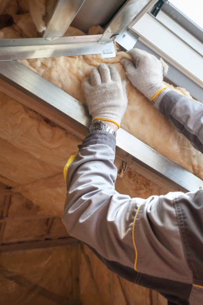 Best Specialized Insulation Services in Matteson, IL