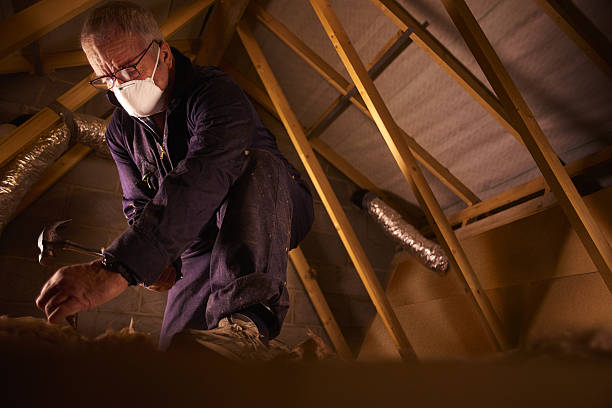 Professional Insulation Contractor in Matteson, IL