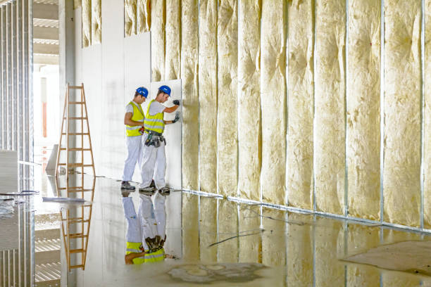 Best Geographic-Specific Insulation Services in Matteson, IL